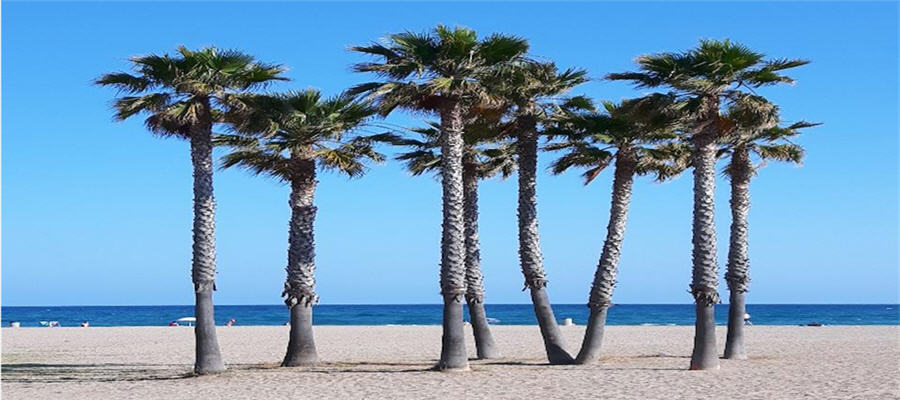 Pintores en El Vendrell baratos 24 horas ☎ 629244599