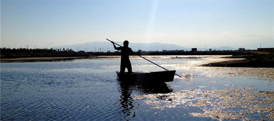 Cristaleros en Amposta baratos 24 horas ☎ 629244599