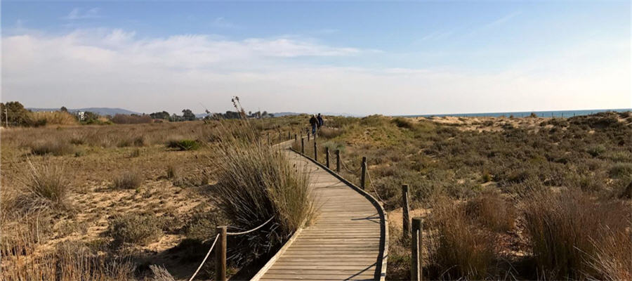 Fontaneros en Torredembarra baratos 24 horas ☎ 629244599