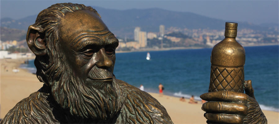 Antenistas en Badalona baratos 24 horas ☎ 629244599