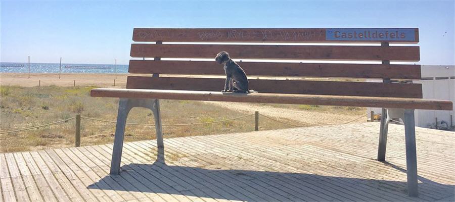 Antenistas en Castelldefels baratos 24 horas ☎ 629244599