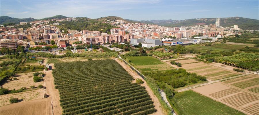 Pintores en Sant Vicenc dels Horts baratos 24 horas ☎ 629244599 